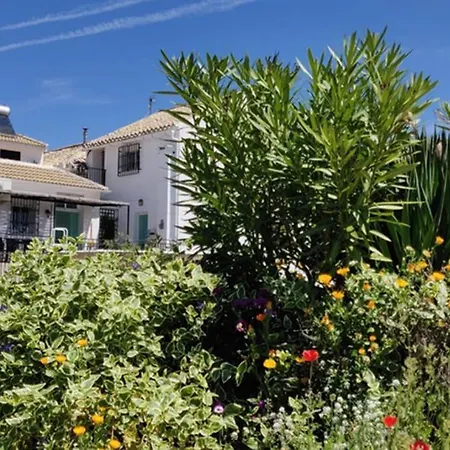 New Leaf Cortijo ,moclin *